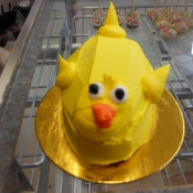 dscn0038