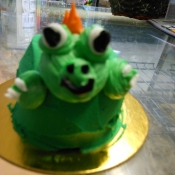 dscn0041