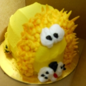 dscn0052