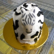 dscn0060